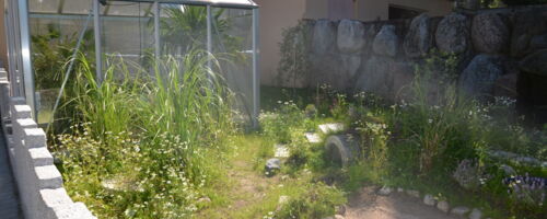 neue Schildkrötenanlage mit Gewächshaus