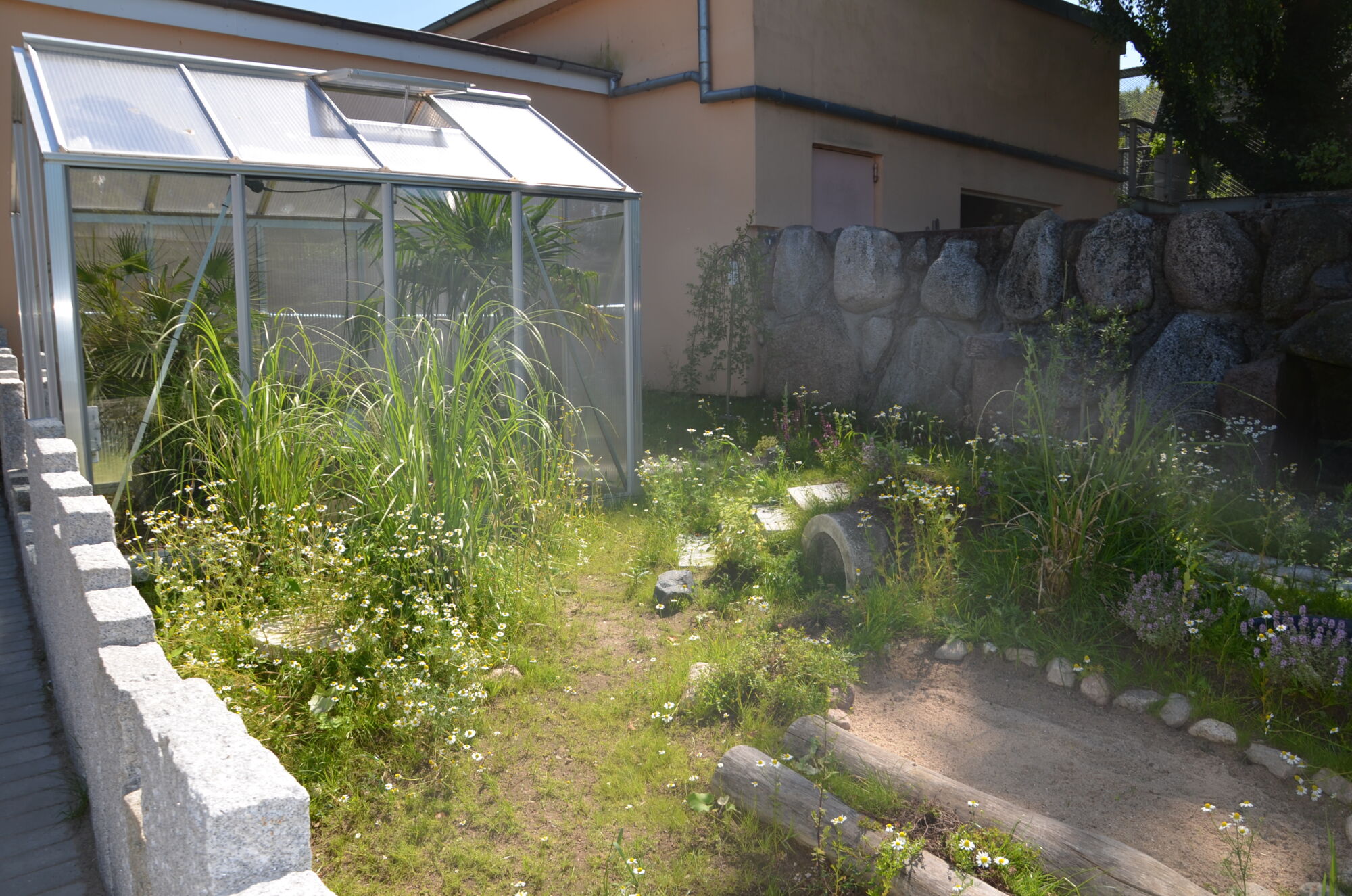 neue Schildkrötenanlage mit Gewächshaus