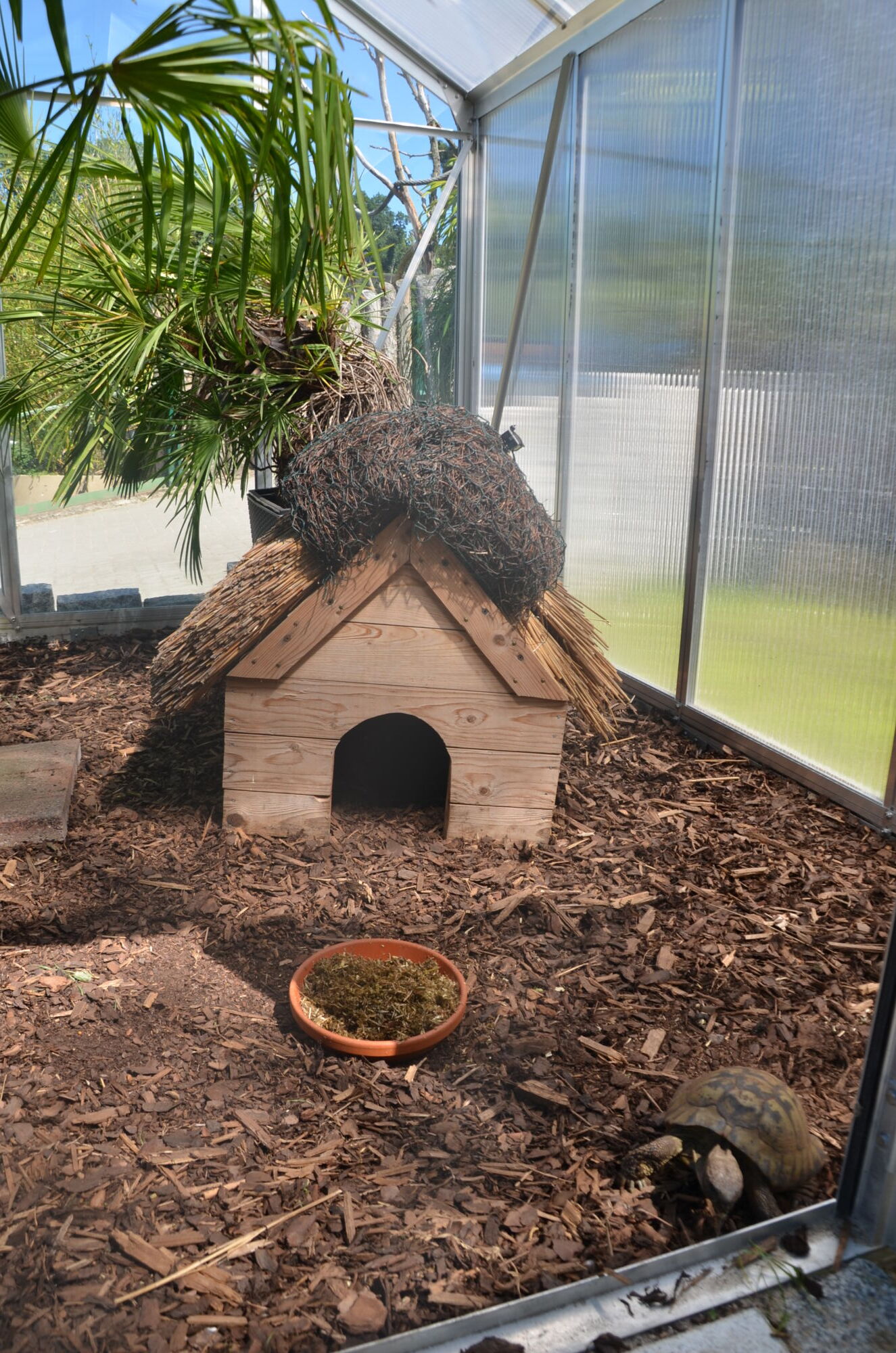 Innenraum des Gewächshauses der neuen Schildkrötenanlage